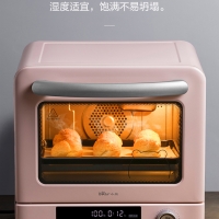 电烤箱家用烘焙迷你小型全自动蛋糕面包嫩蒸烤一体机20升正品